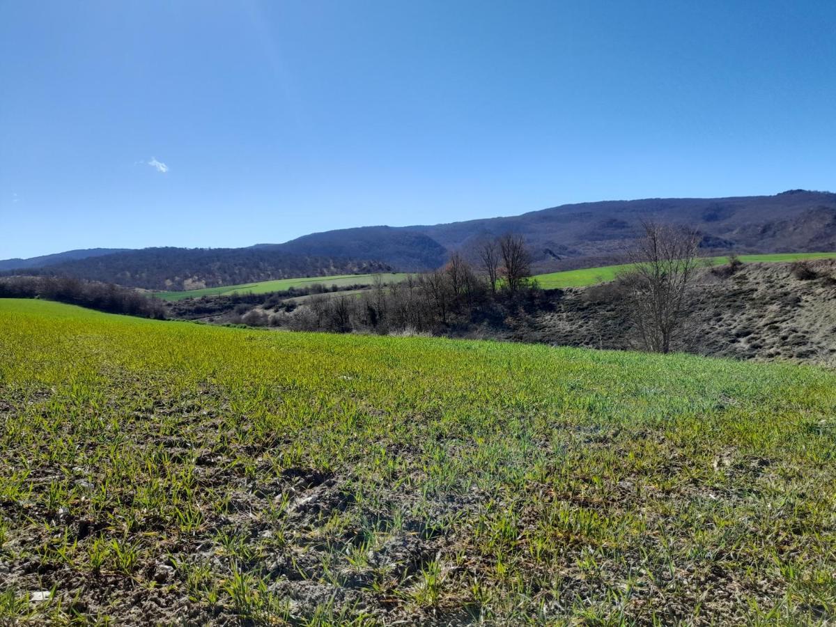 Maitia Βίλα Larraona Εξωτερικό φωτογραφία